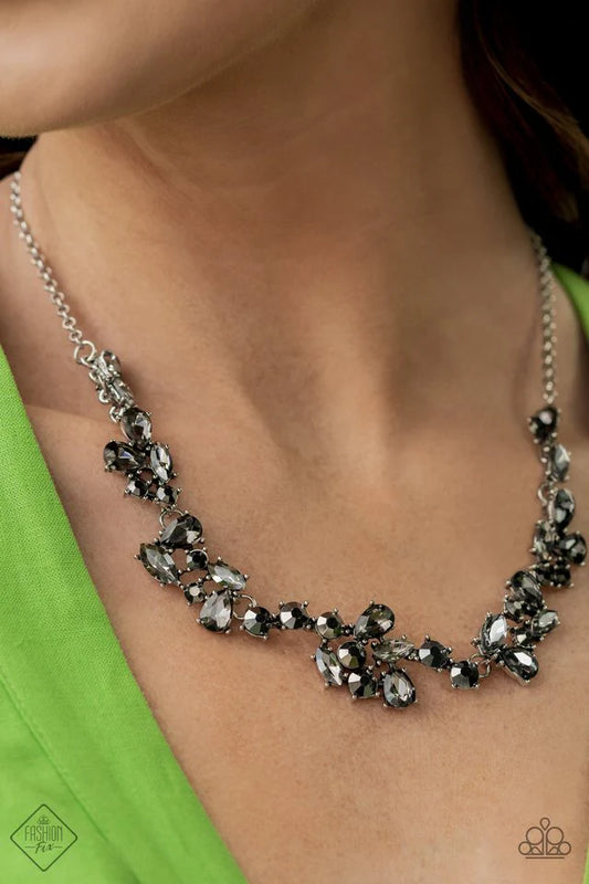Paparazzi Necklace ~ Welcome to the Ice Age - Silver