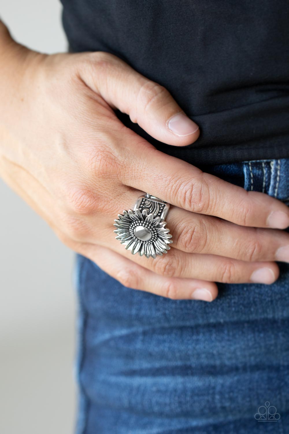 Paparazzi Farmstead Fashion Silver Ring